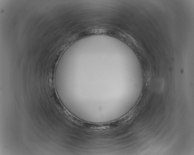 X0000078860553200611131002