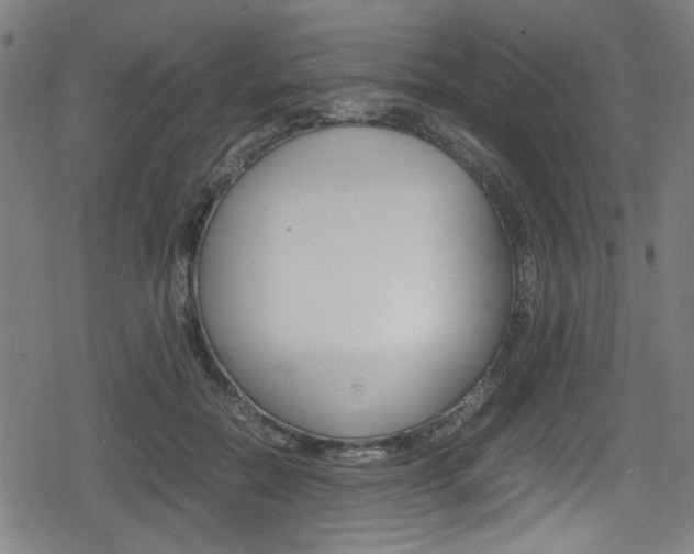 X0000078860554200611131002