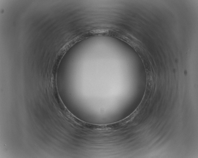 X0000078860556200611131002