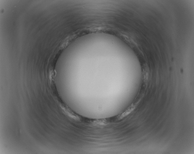 X0000078860574200611131002