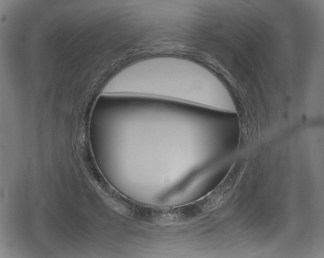 X0000078860593200611131001