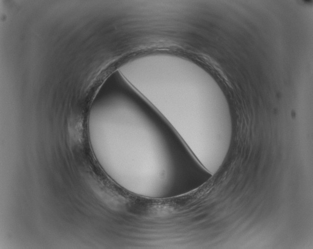 X0000078860596200611131001