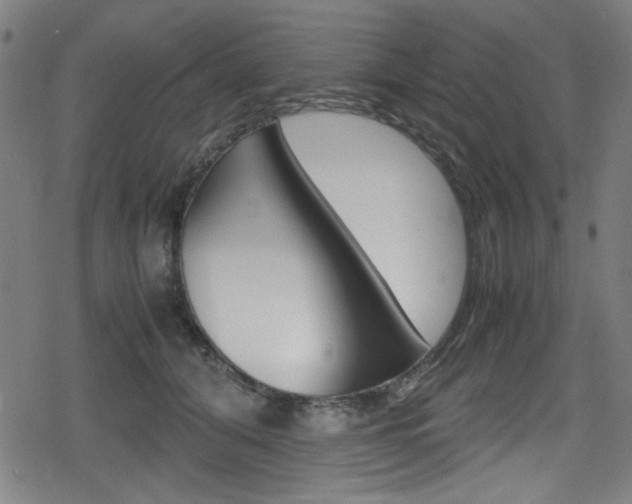 X0000078860608200611131001