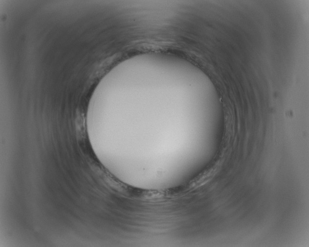X0000078860624200611131001