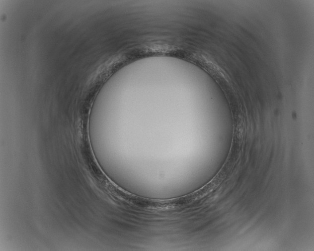 X0000078860639200611131000