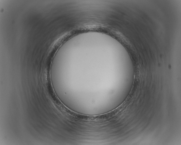 X0000078860640200611131000