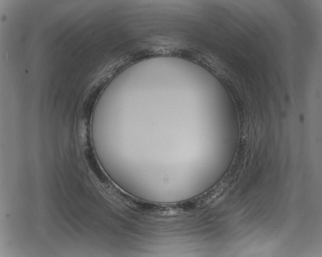 X0000078860646200611131000
