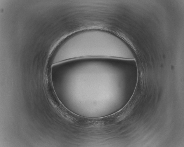 X0000078860676200611131000
