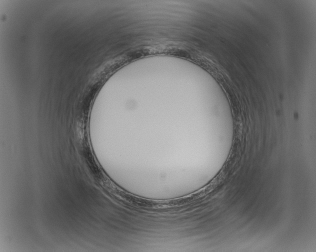 X0000078860691200611131000