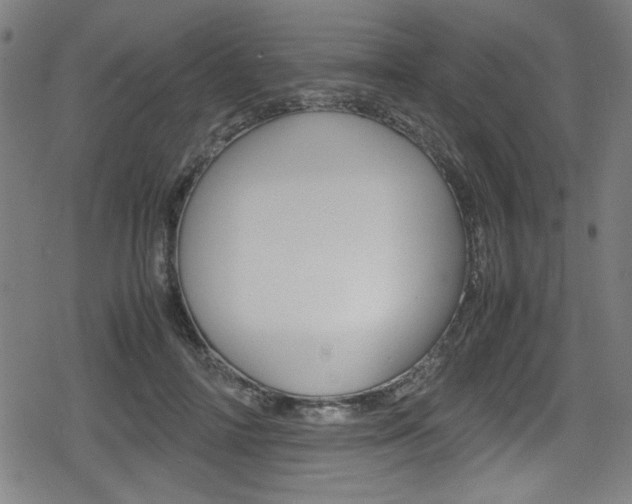 X0000078860698200611131000