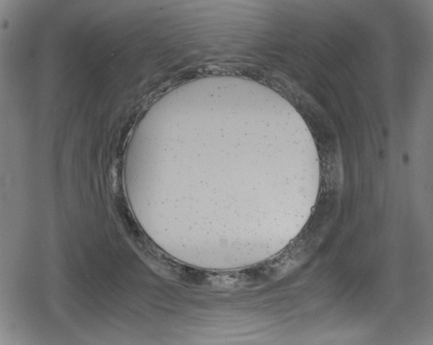 X0000078860703200611130959