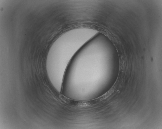 X0000078860704200611130959