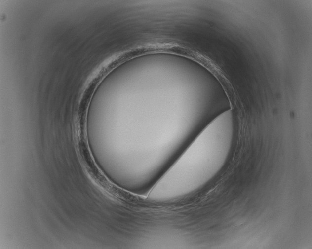 X0000078860726200611130959