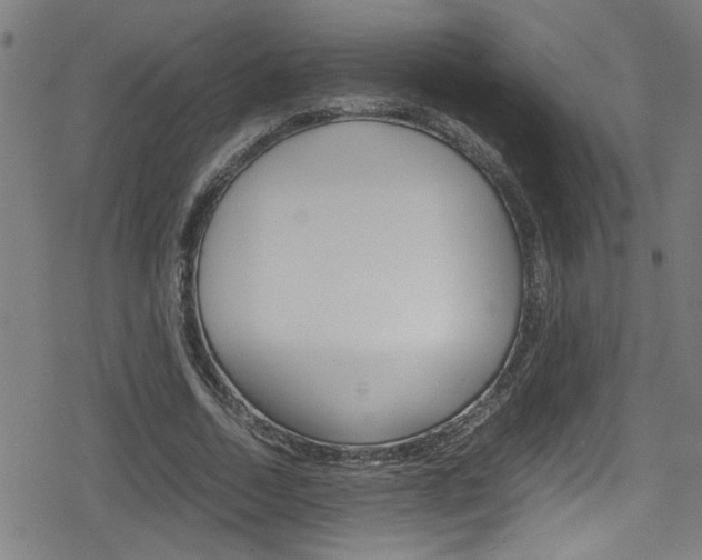 X0000078860730200611130959