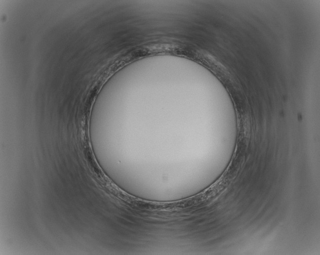 X0000078860737200611130959