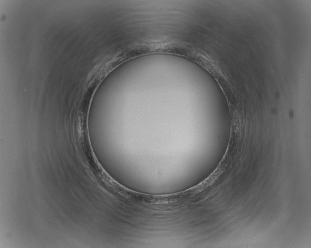 X0000078860740200611130959