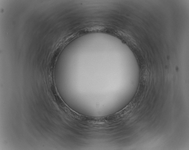 X0000078860743200611130959
