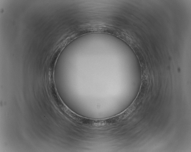 X0000078860744200611130959