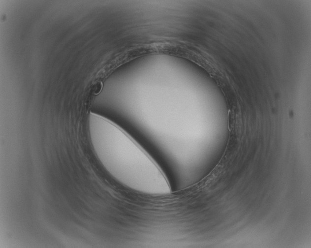 X0000078860750200611130959
