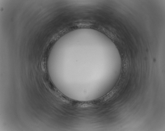 X0000078860755200611130959