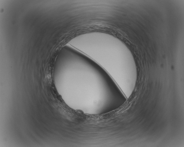 X0000078860771200611130958