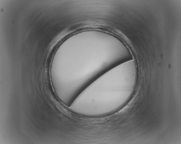 X0000078860779200611130958