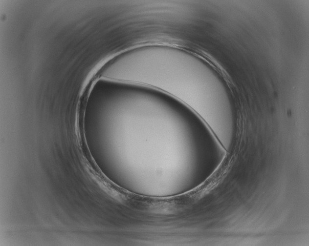 X0000078860788200611130958