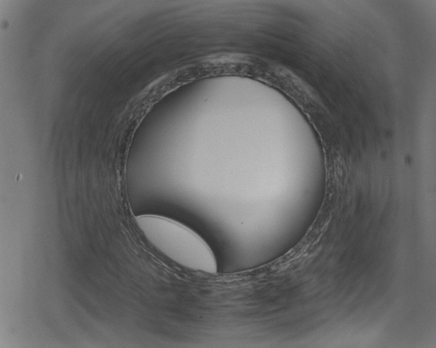 X0000078860821200611130957
