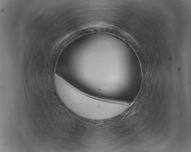 X0000078860822200611130957