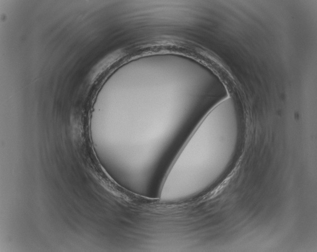 X0000078860826200611130957