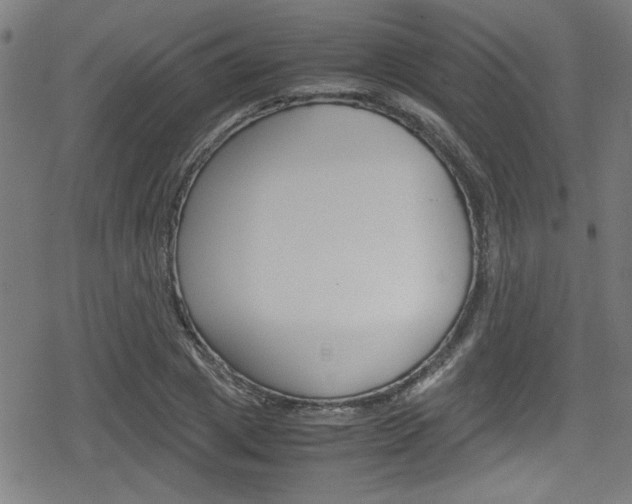 X0000078860833200611130957