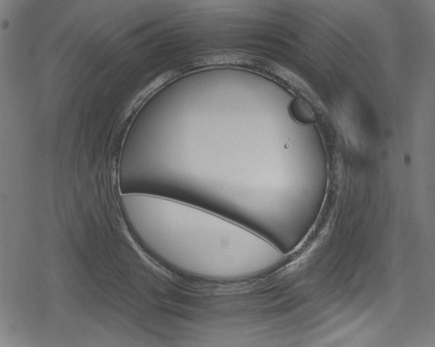 X0000078860841200611130957
