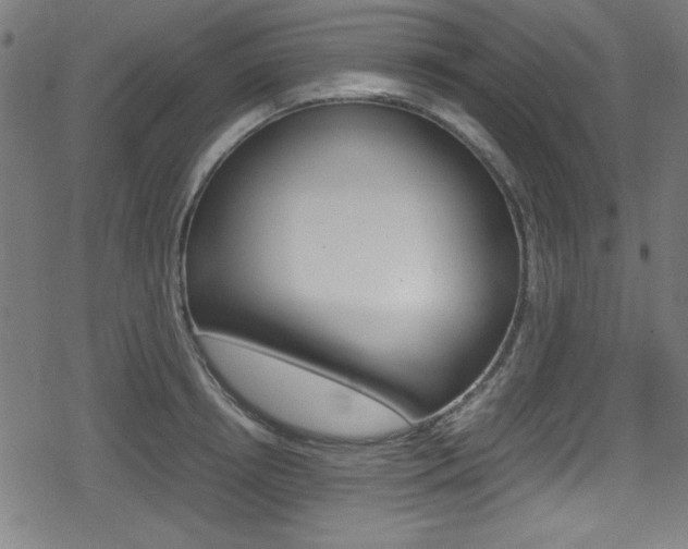 X0000078860850200611130957