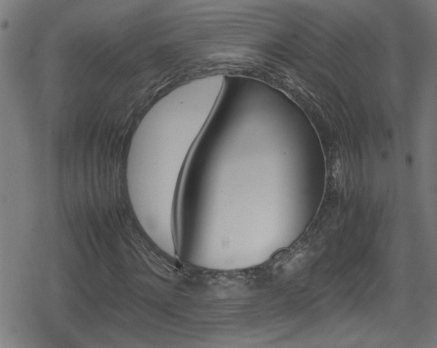 X0000078860868200611130957