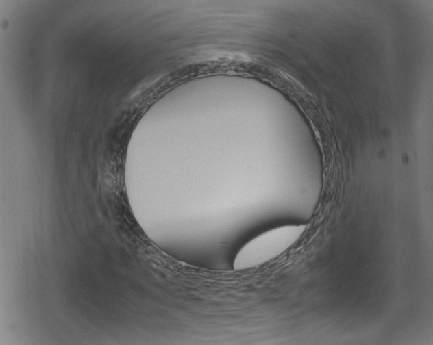 X0000078860869200611130957