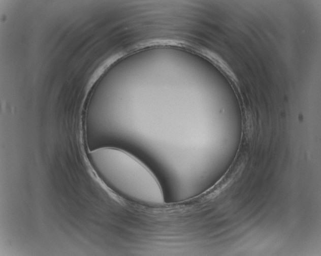 X0000078860898200611130956