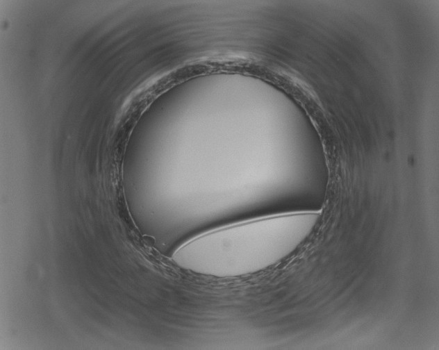 X0000078860920200611130955