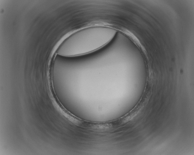 X0000078860947200611130956