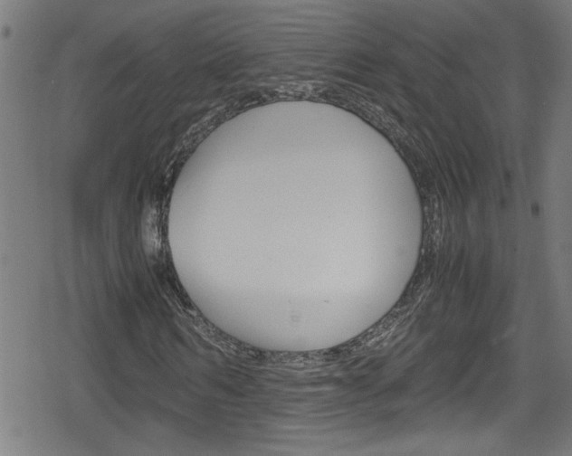 X0000078860962200611130955