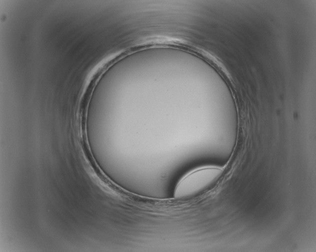 X0000078860987200611130955
