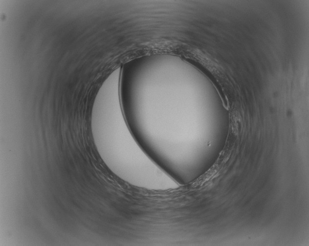 X0000078861010200611130954