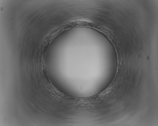 X0000078861014200611130954