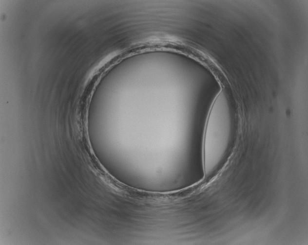 X0000078861018200611130954