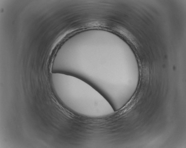 X0000078861023200611130954