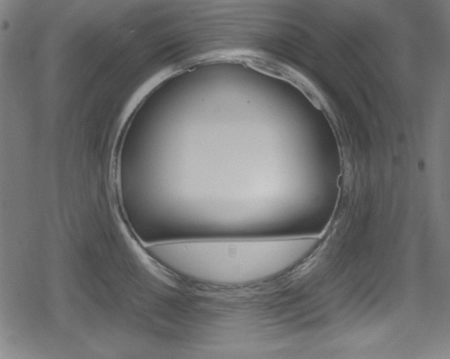 X0000078861050200611130954