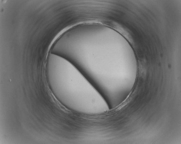 X0000078861052200611130954
