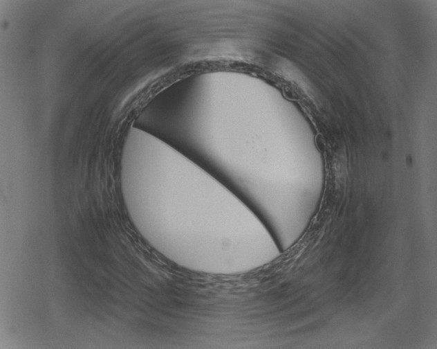 X0000078861064200611130954