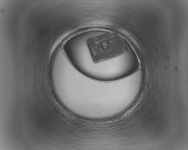 X0000078861069200611130954