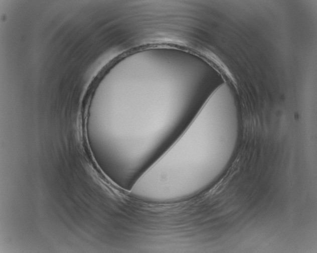 X0000078861076200611130953