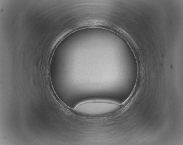 X0000078861081200611130953